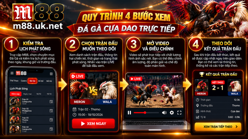 Quy trình 4 bước xem Đá Gà Cựa Dao Trực Tiếp