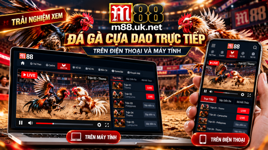 Trải nghiệm xem Đá Gà Cựa Dao Trực Tiếp trên điện thoại và máy tính