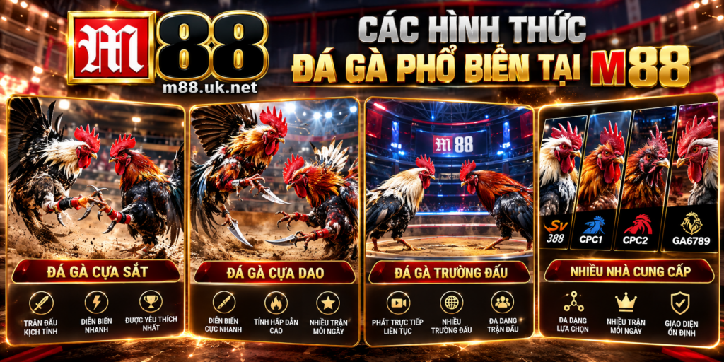 Các hình thức Đá Gà phổ biến tại M88