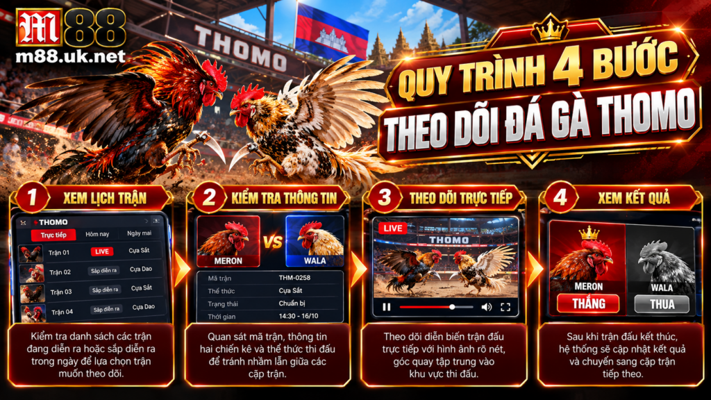 Quy trình 4 bước theo dõi Đá Gà Thomo