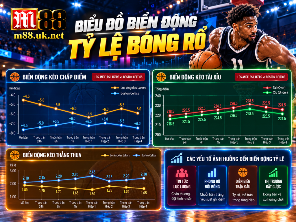 Biểu đồ biến động tỷ lệ bóng rổ