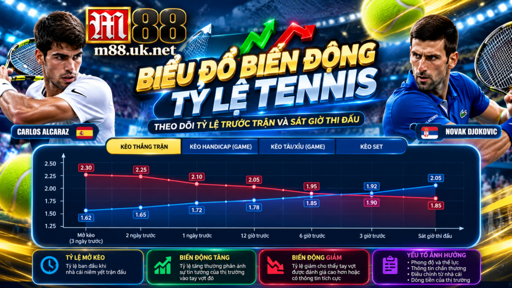 Biểu đồ biến động tỷ lệ Tennis
