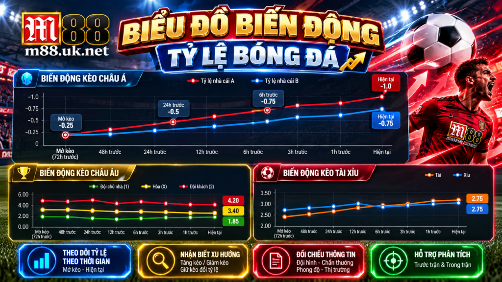 Biểu đồ biến động tỷ lệ bóng đá